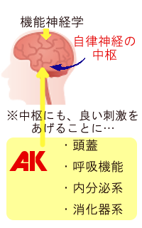 AKで良い刺激を脳にあげていることを示すイラスト