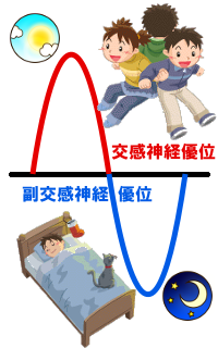 自律神経失調症 バランスさせるためには カイロこまば 東京都