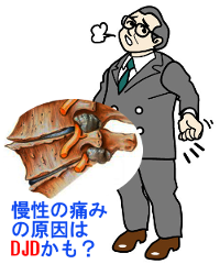 慢性の腰痛の原因がDJDかも?というイラスト
