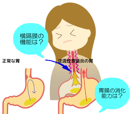 ポケモン go ヒノアラシ 個体中文