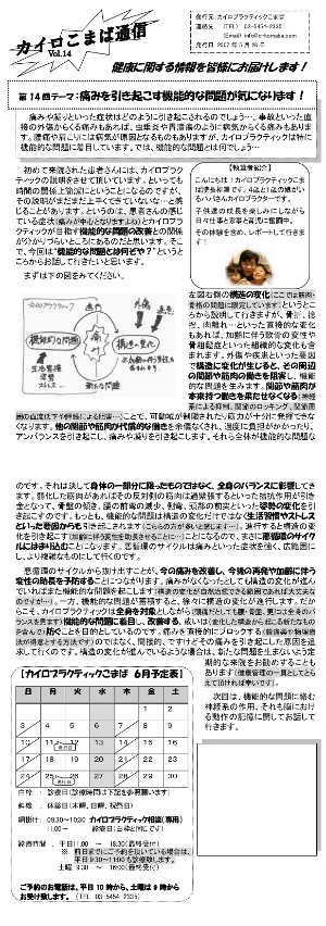 カイロこまば通信vol14のイメージ画像