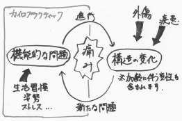 カイロプラクティックの考える機能的な問題の悪循環サイクルについての手書きイメージ図