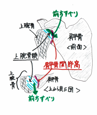 上腕骨頭すべりを紹介するイラスト