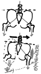 重心を横にスイングした際、荷重をバランスさせるよう骨盤が働いていることをイメージしたイラスト